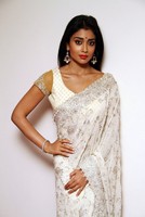 Shriya Saree Photos